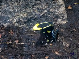 Haus des Meeres 13.03.2026